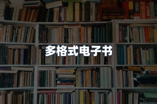 多格式电子书